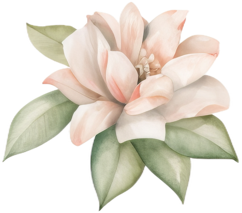 seasons-spring-pink-flower-26-500w