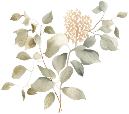 seasons-winter-pink-white-flower-21-500w
